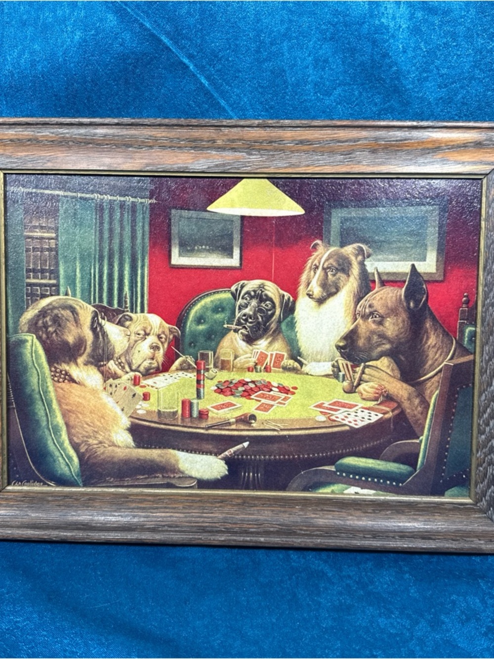 Vintage DOGS PLAYING POKER Framed Print C.M. Coolidge “A BOLD BLUFF”